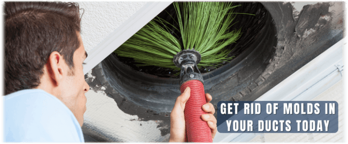 Air Duct Mold Removal in Boston MA