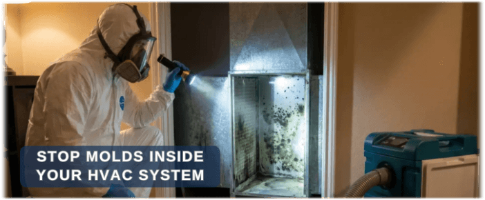 HVAC Mold Removal Boston MA